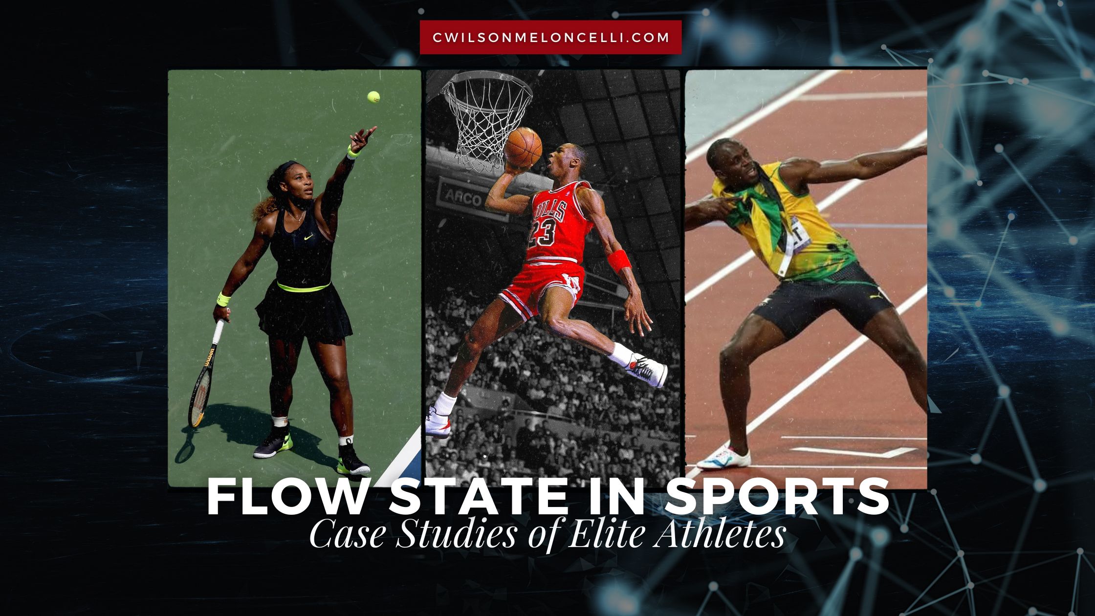 Flow State in Sports Case Studies of Elite Athletes